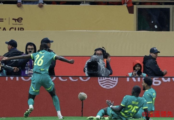 比赛一度中断！非洲杯决赛上演“罢赛闹剧”