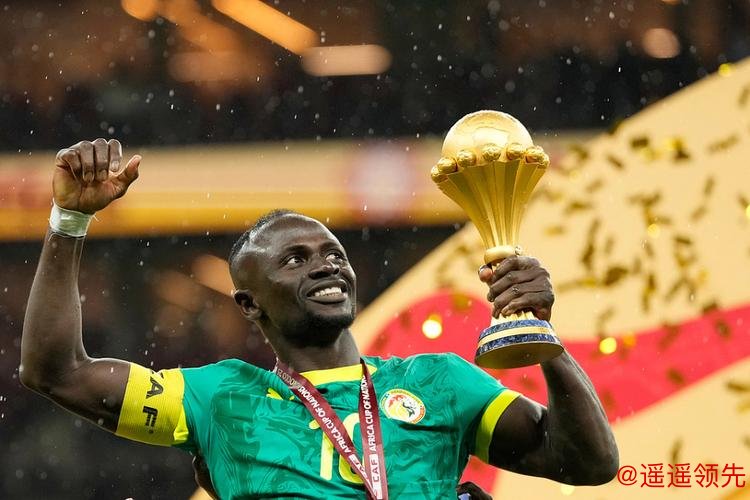 比赛一度中断！非洲杯决赛上演“罢赛闹剧”