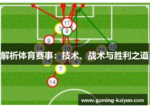 解析体育赛事：技术、战术与胜利之道